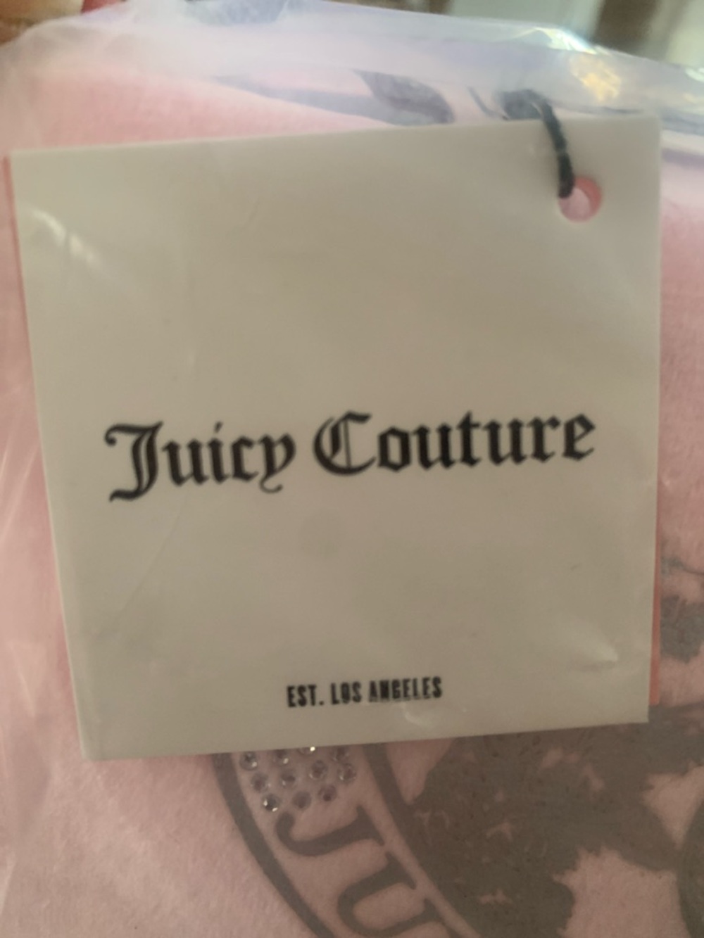 🆕 - Juicy Couture Pale Pink Velvet Travel organizer Bag with Silver Trim - Picture 2 of 11
